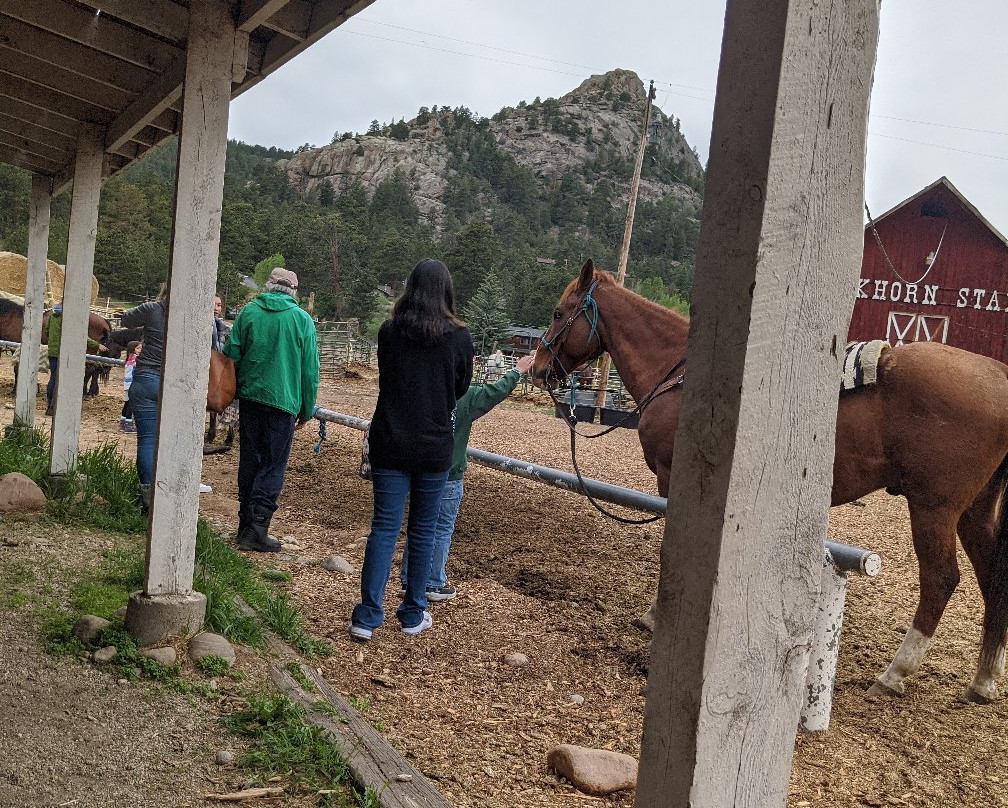 Elkhorn Stables-埃斯蒂斯公园必去景点