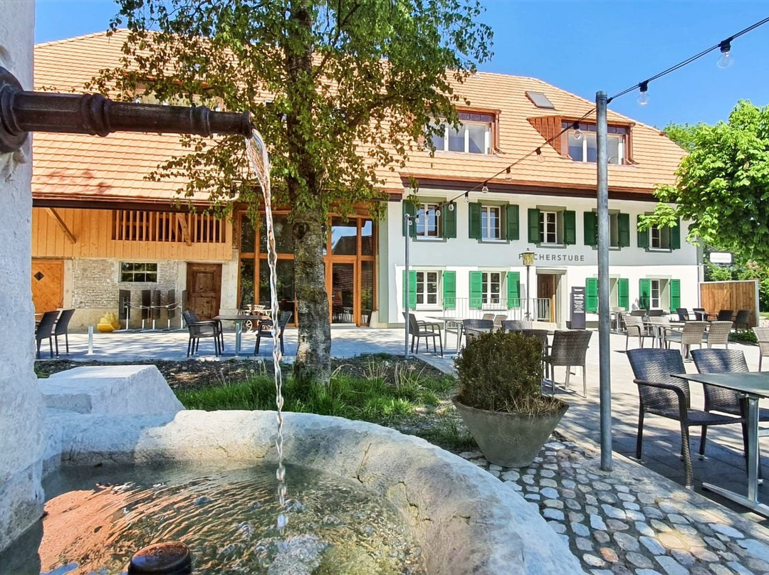 Selzach餐馆和美食-Restaurant Fischerstube Altreu