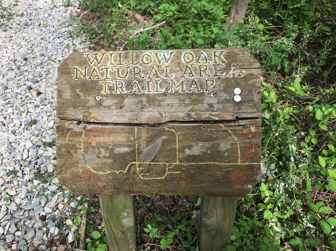 Willow Oak Natural Area景点图片
