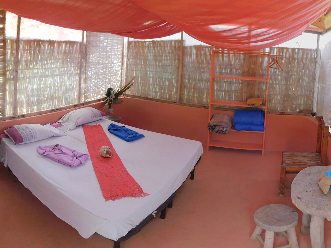 Tortuga Bed & Breakfast主图