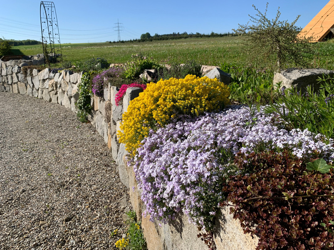 Kramerhof Pension & Appartments主图