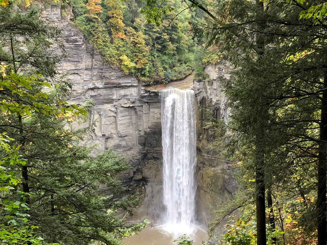 Taughannock Falls State Park景点图片