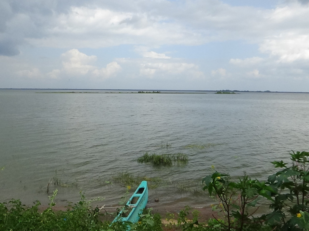 Yodha Wewa-马纳尔必去景点