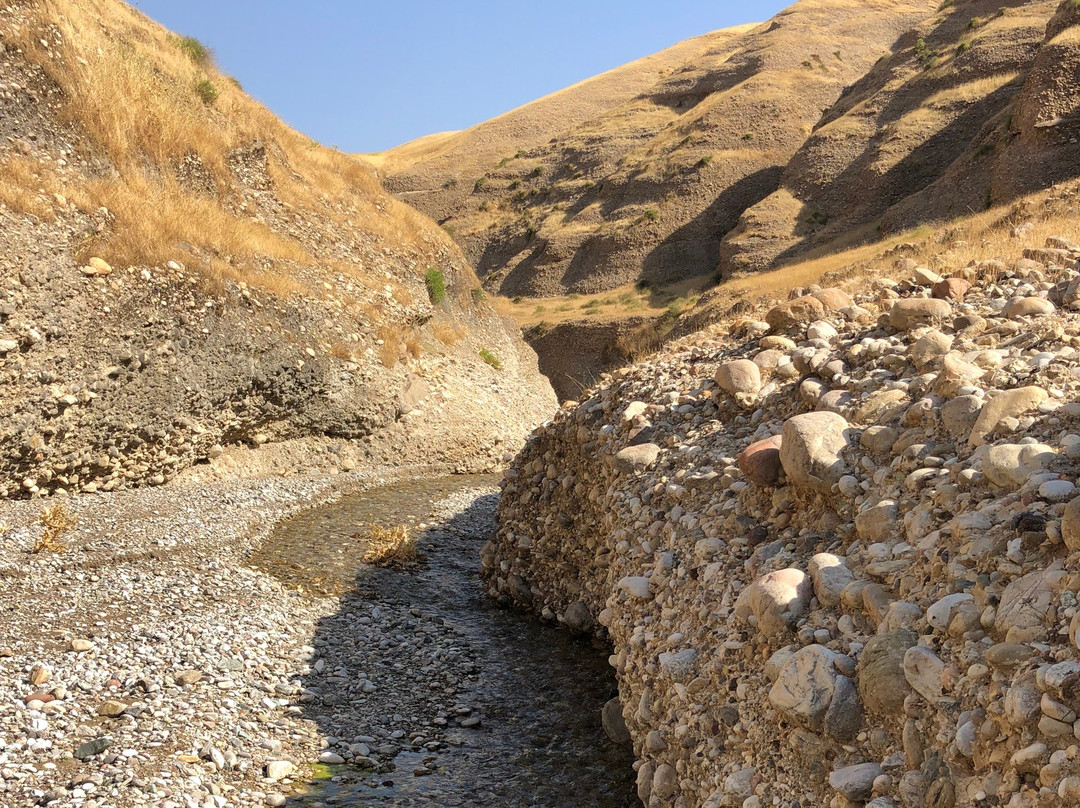Tony Baba-苏莱曼尼亚必去景点