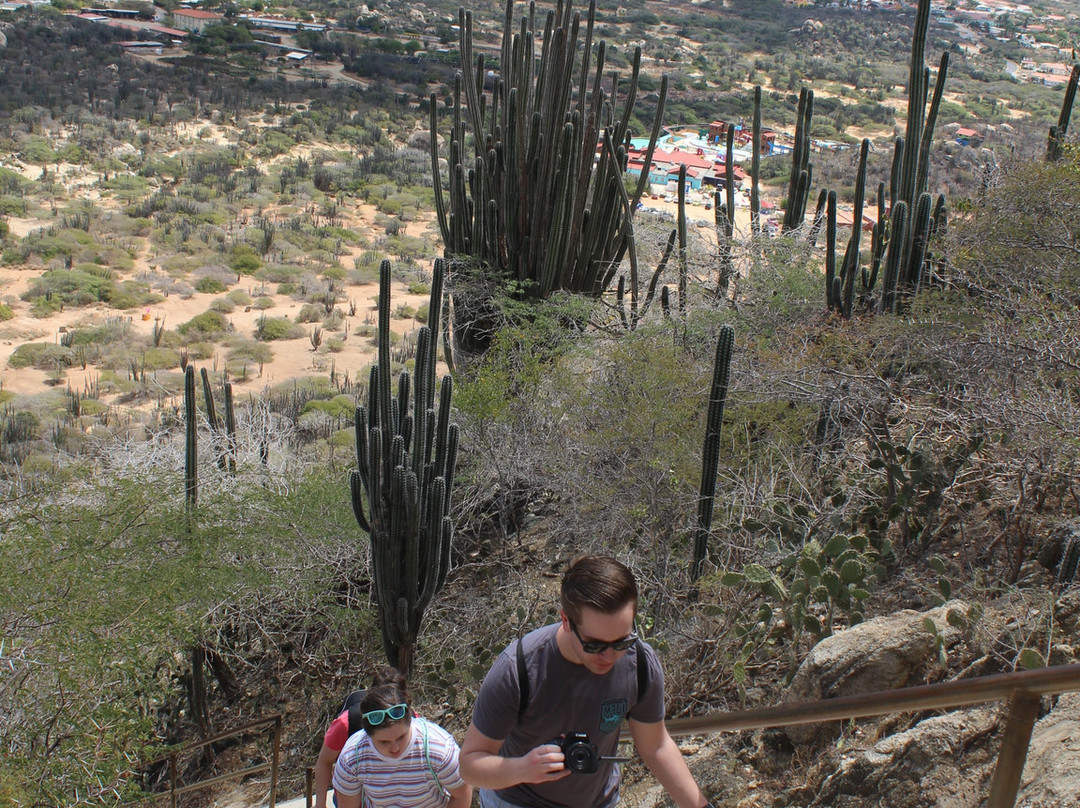 Hooiberg-奥腊涅斯塔德必去景点