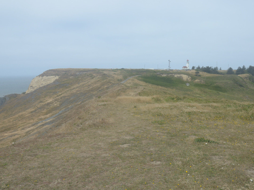Cape Blanco State Park景点图片