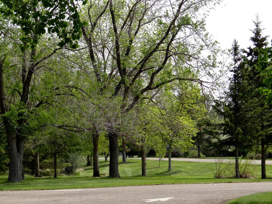 省立蒂尔布鲁克公园 -布鲁克斯必去景点