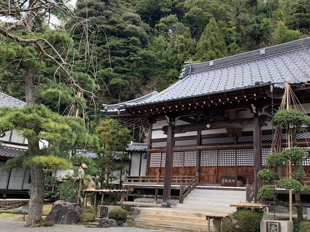 Honju-ji Temple-丰冈市必去景点