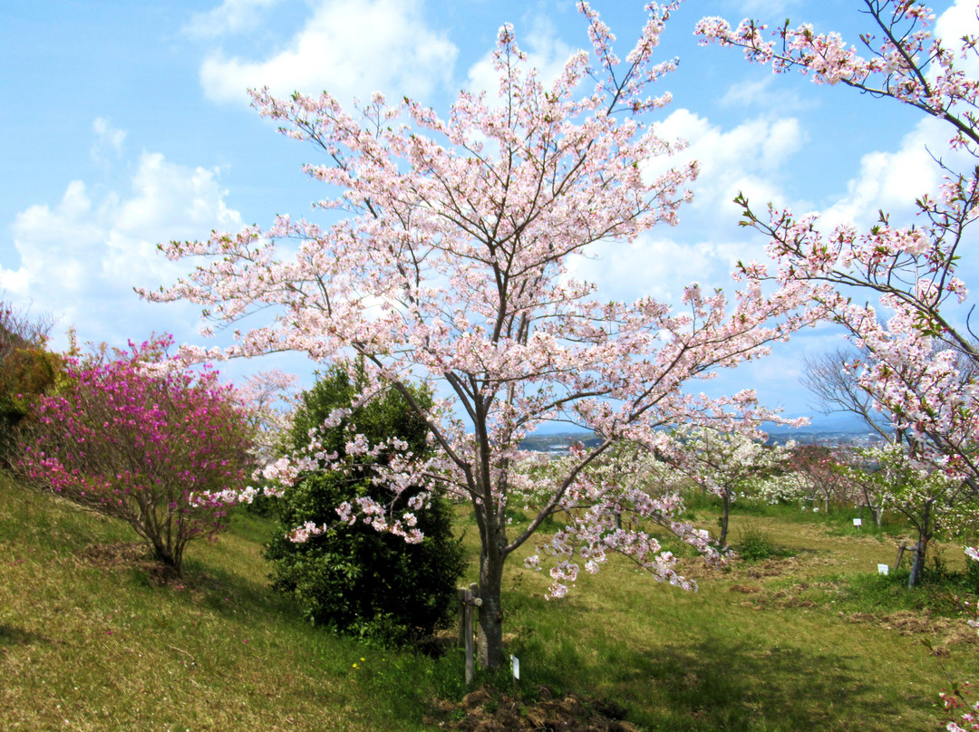 Ogasayama Sports Park Ecopa景点图片
