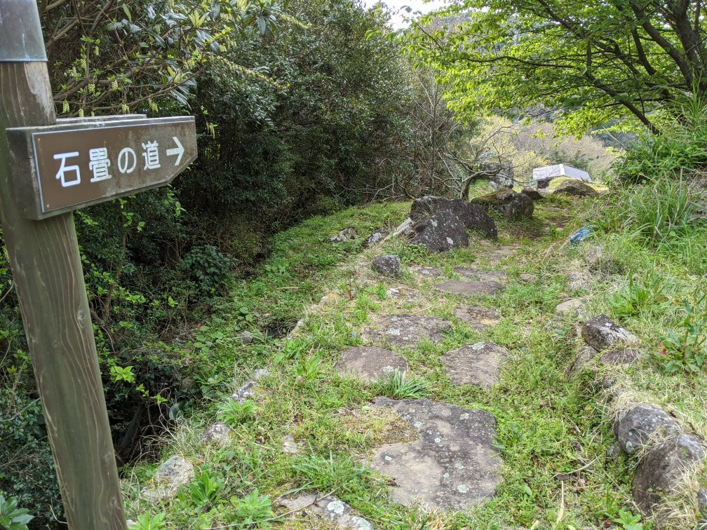 Terraced Paddies in Ishibe景点图片