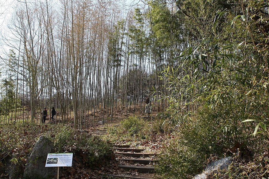 Mulhyanggi Arboretum-乌山市必去景点