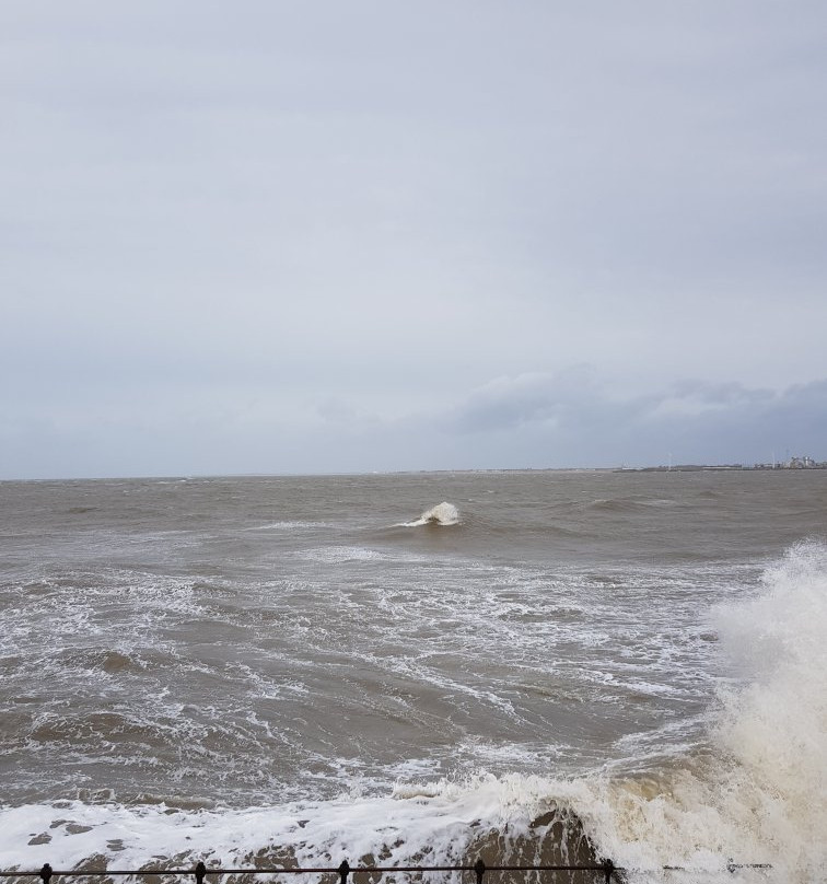 Magazines Promenarde