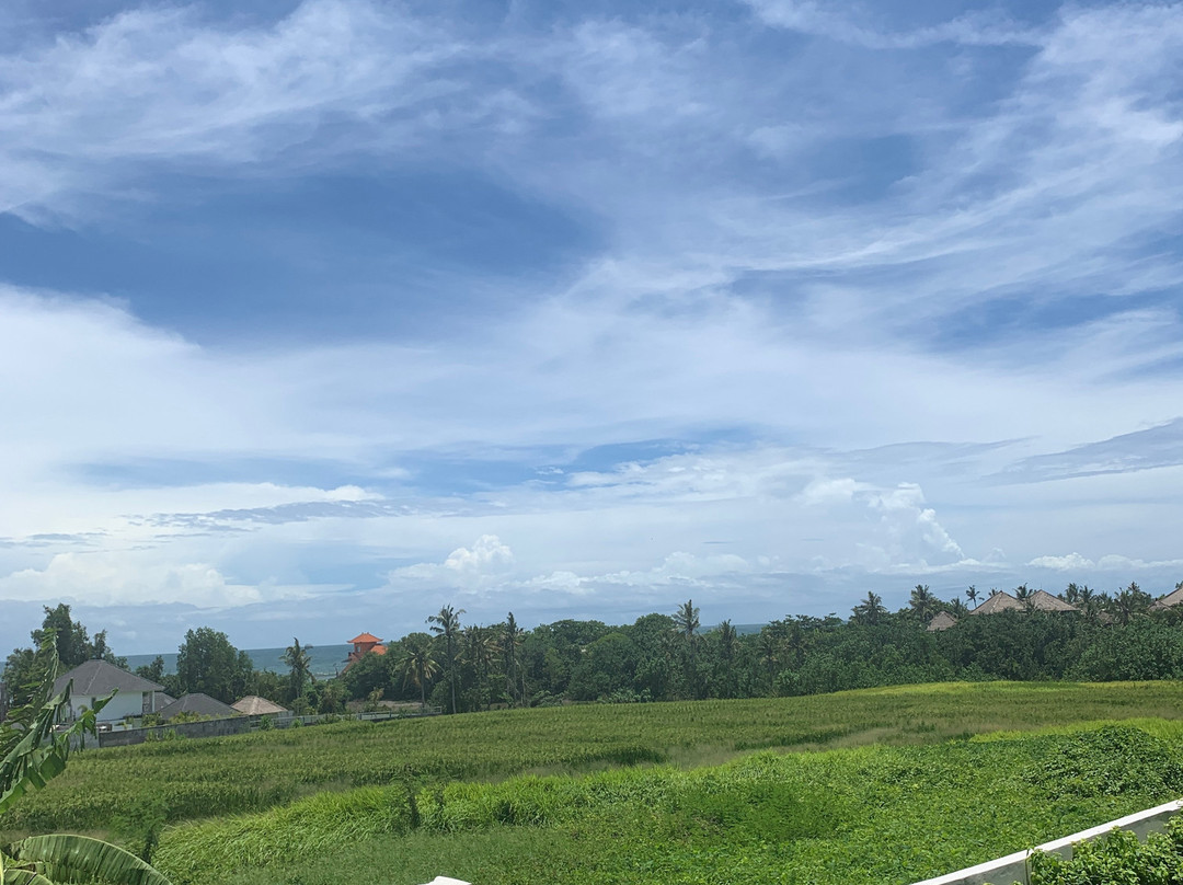 The Double View Mansions主图