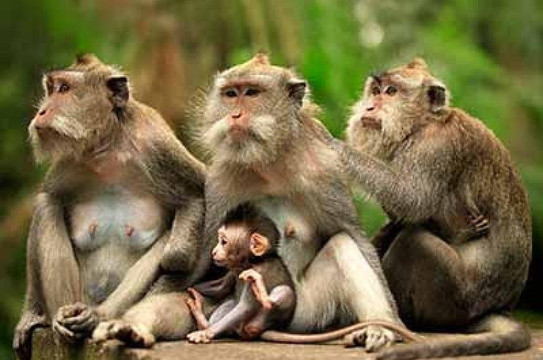 bersinar bali Tour-水明漾必去景点