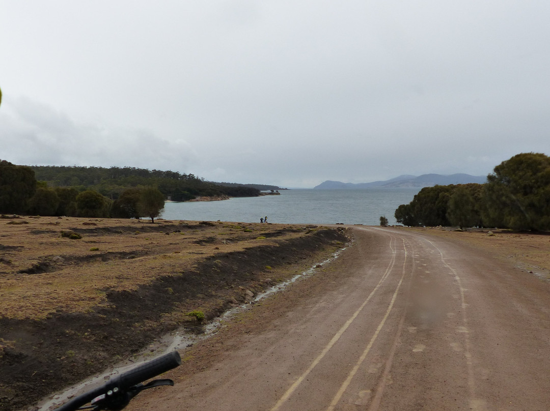 Encounter Maria Island ferry景点图片