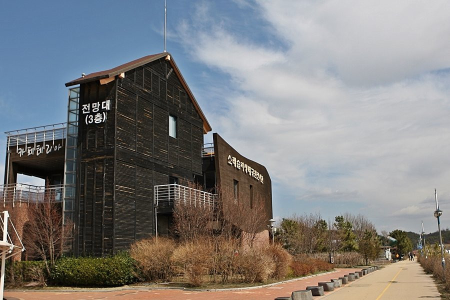 Sorae Ecology Park-仁川必去景点
