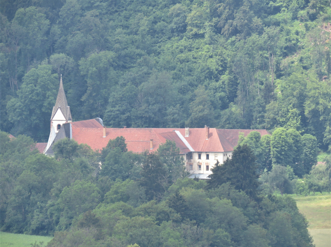 Burg Griffen景点图片