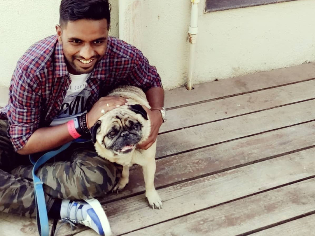 Palm Green Club主图