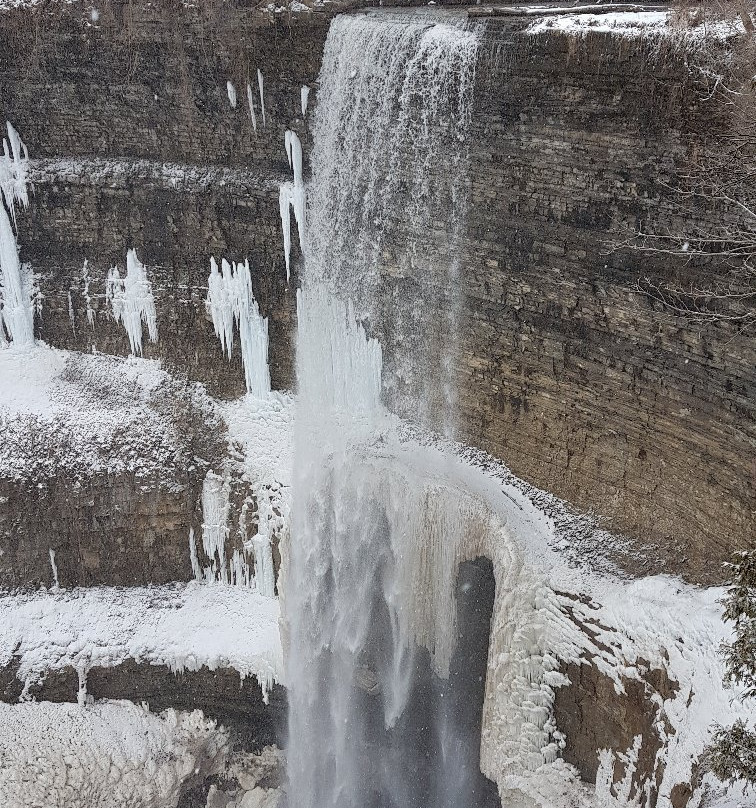 Tews Falls-邓达斯必去景点
