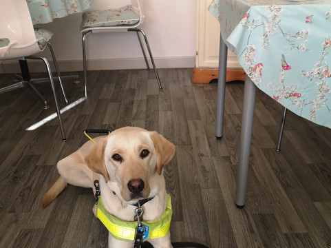 Memories Tea Room主图