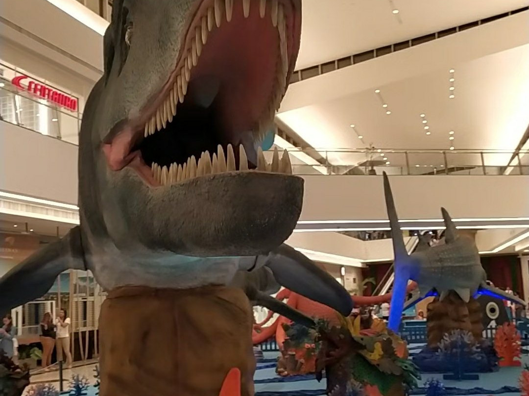 Shopping Bosque Grao Para-贝伦必去景点