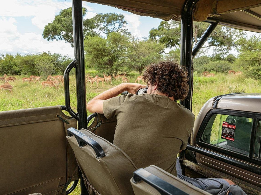 Tony Sparkes Wildlife and Photographic Safaris-霍德斯普鲁特必去景点