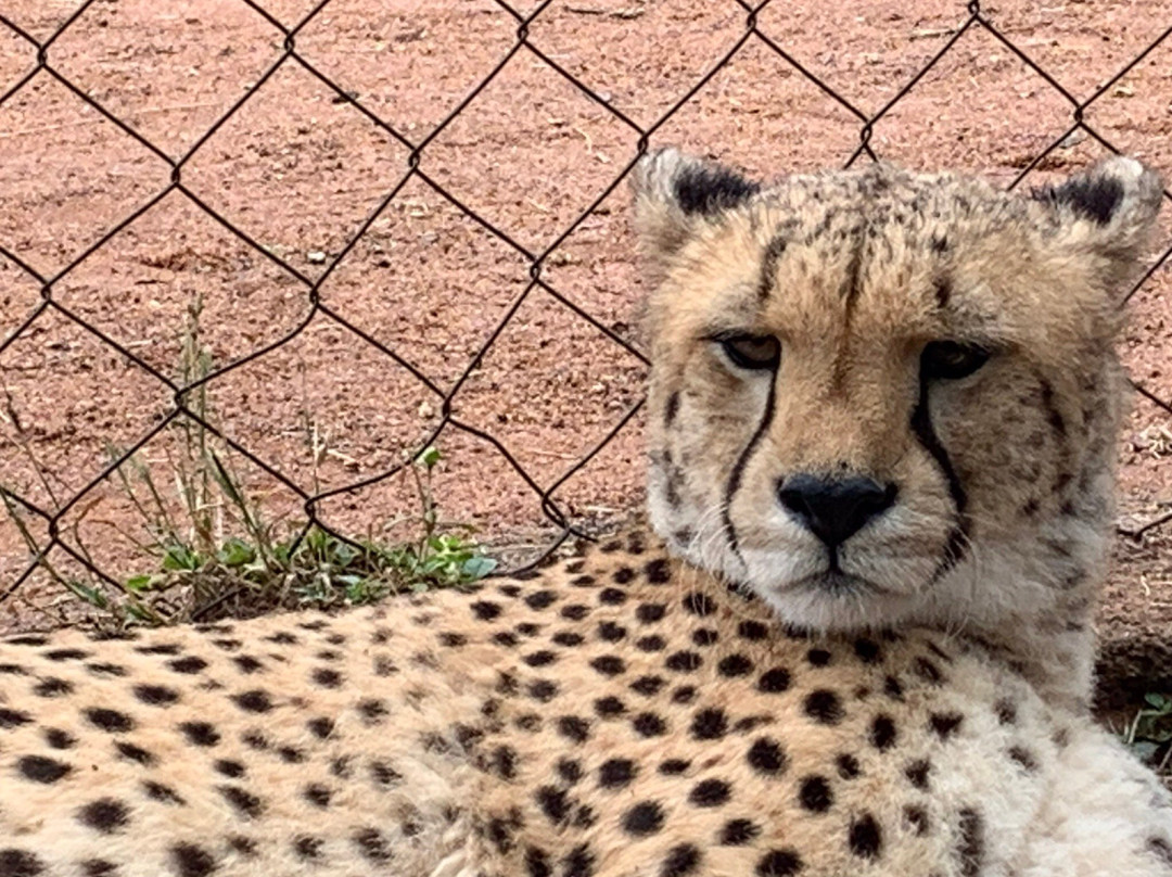 Pongoa Travel-南非西北必去景点