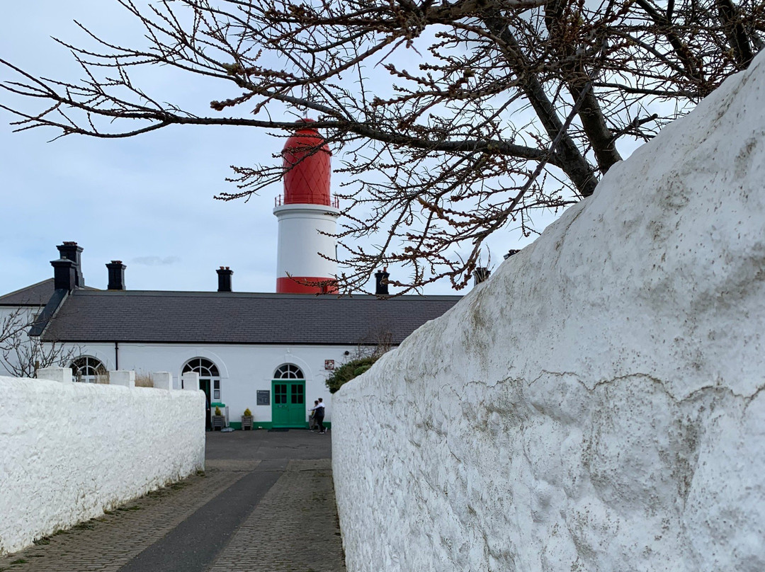 Souter Lighthouse and The Leas景点图片
