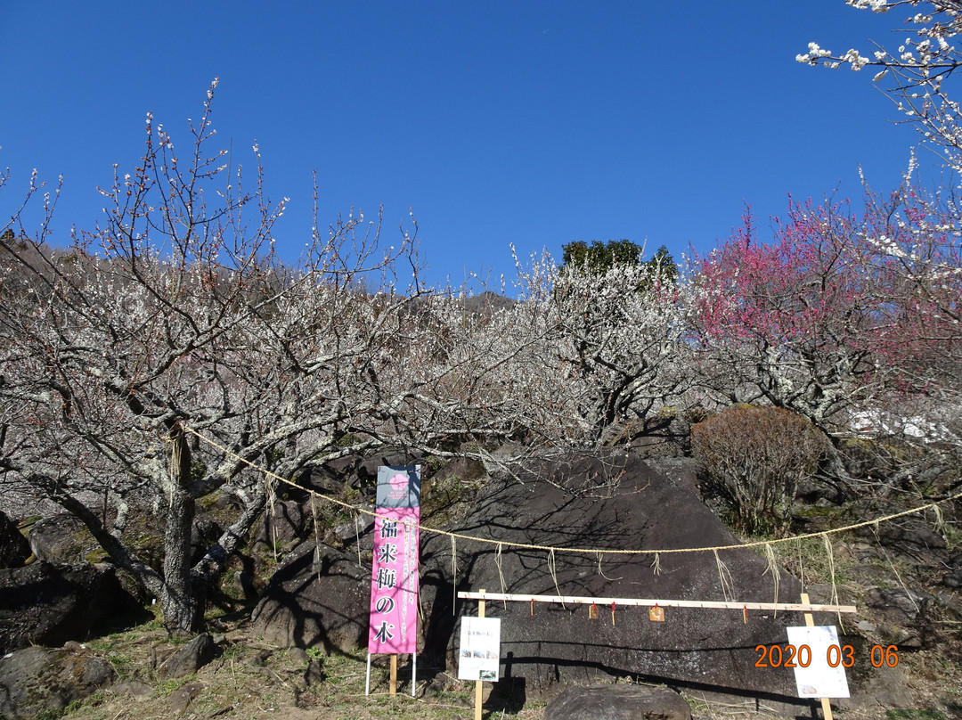Mt. Tsukuba Ume Blossom Matsuri-筑波市必去景点