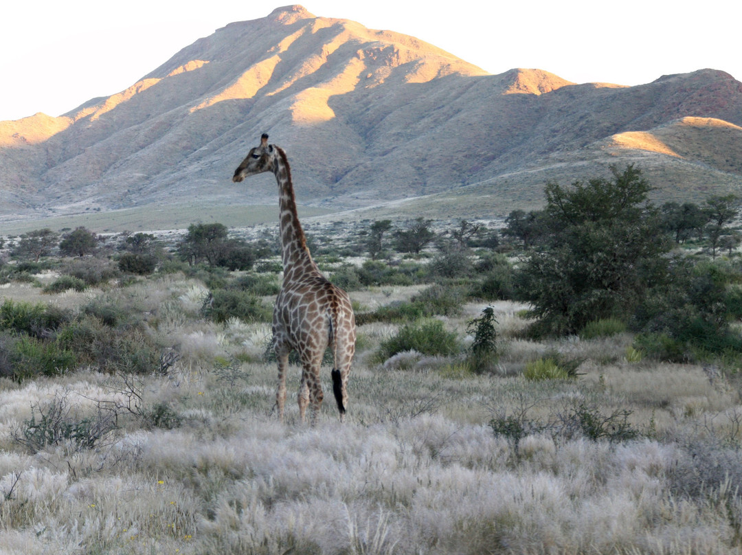 赛斯瑞酒店住宿-纳米布沙漠哈默斯坦旅馆