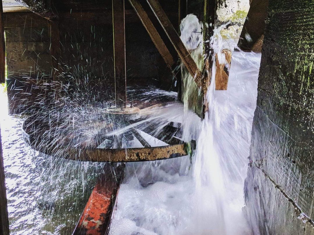 Etno Vodenica Ćirović-Odzak必去景点