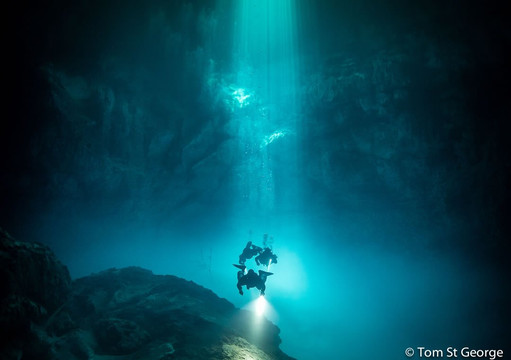 La Calypso Dive Center-图伦必去景点