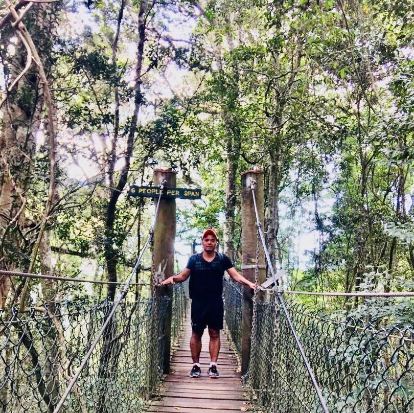 Lamington National Park景点图片