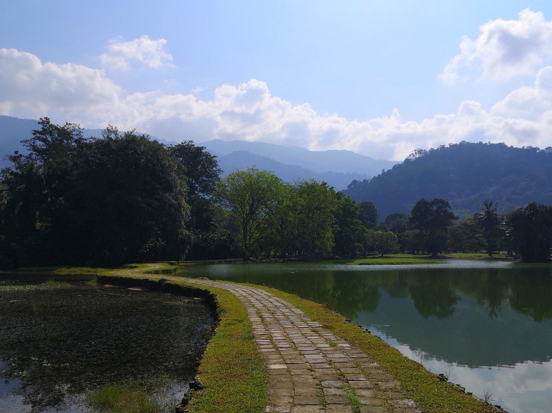 Taman Tasik Taiping景点图片