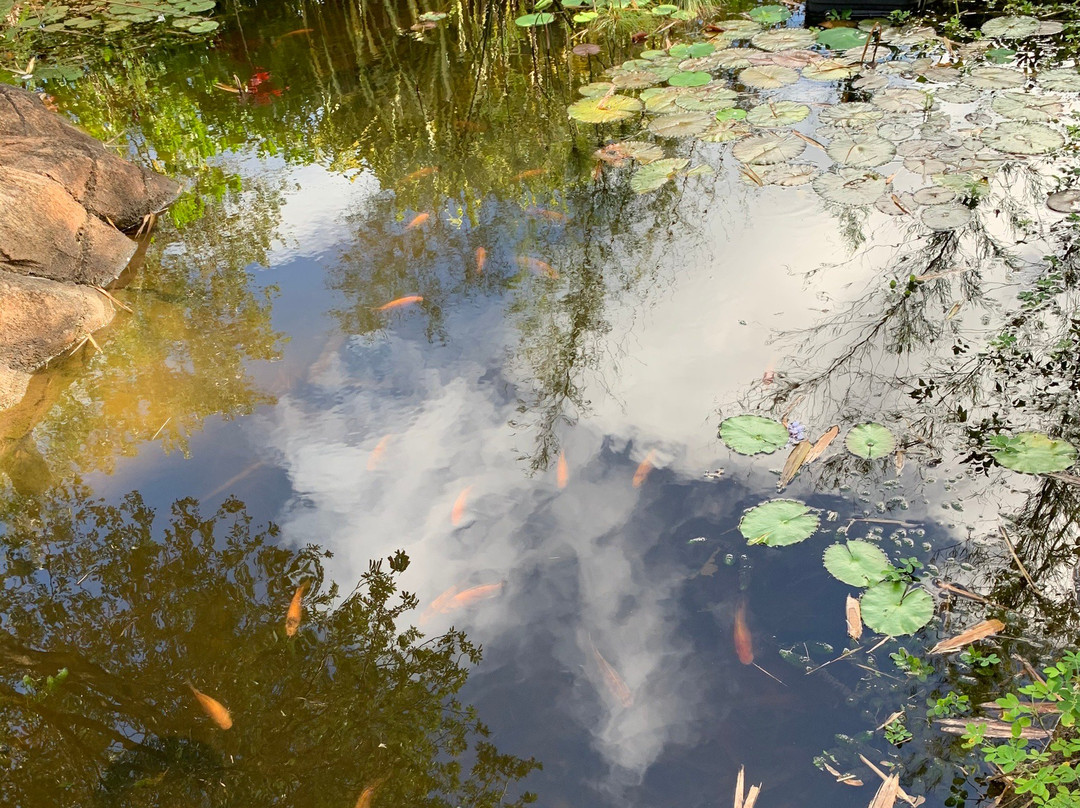 Kauai Mini Golf & Botanical Gardens-基拉韦厄必去景点