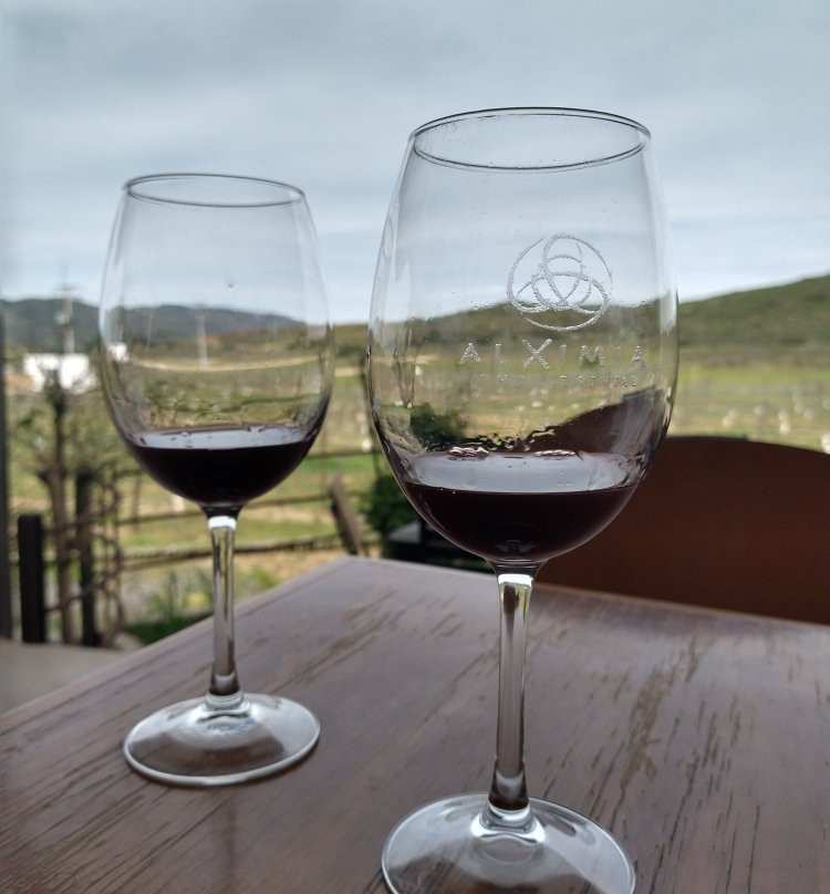 Alximia Vinicola景点图片