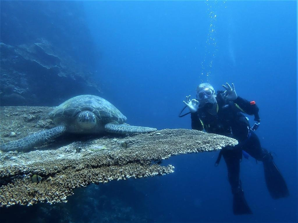Seaquest Dive Center景点图片