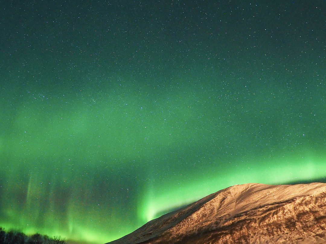 Tromso Guide-特罗姆瑟必去景点