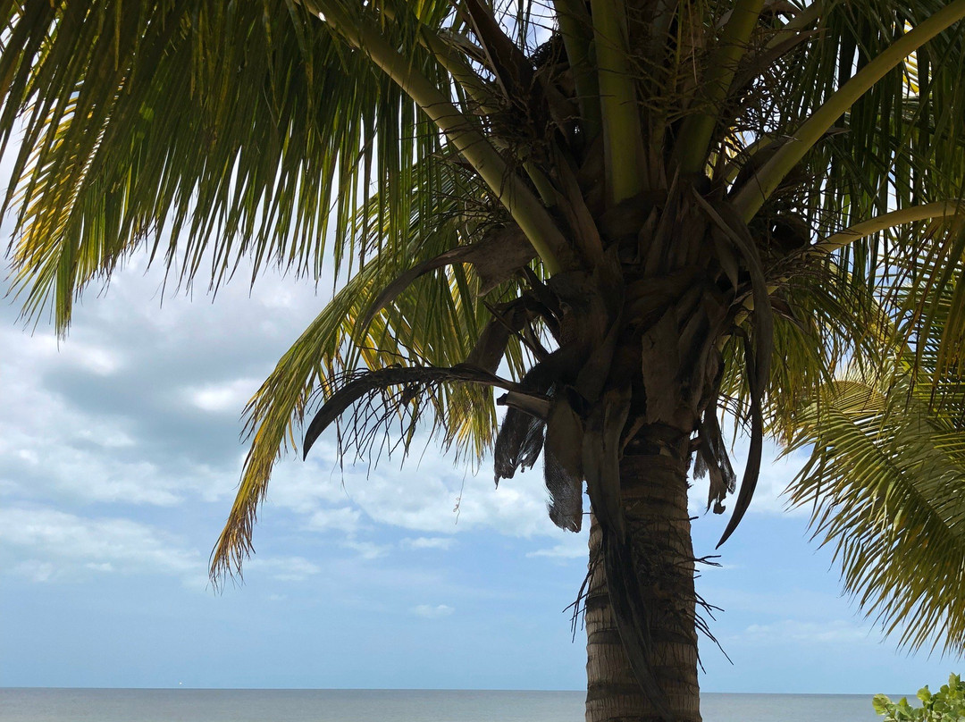 Mirador Champoton-Champoton必去景点