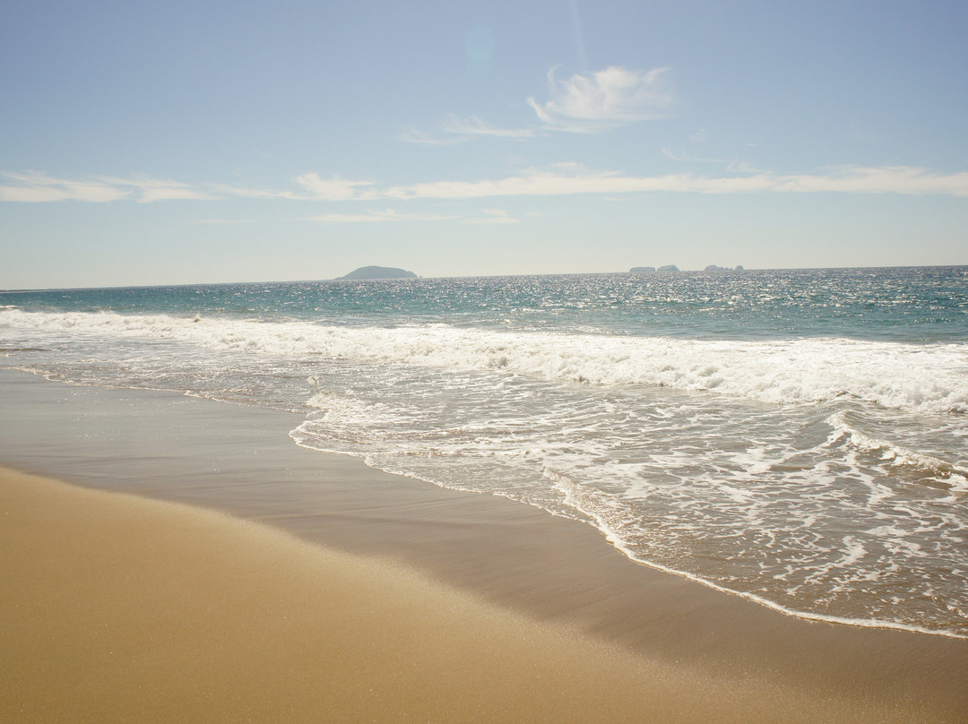 Playa Larga景点图片