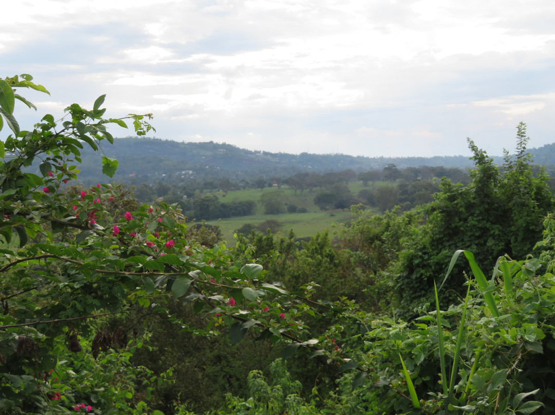 Kigongoni Lodge Arusha主图