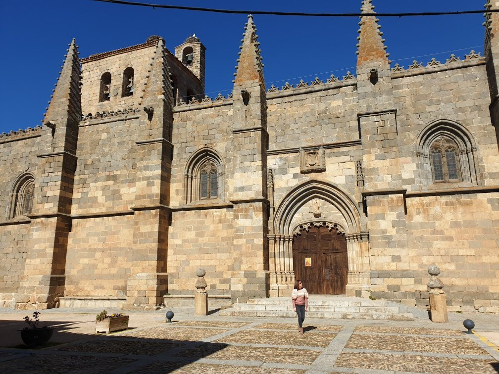 Iglesia Colegiata de San Martin景点图片