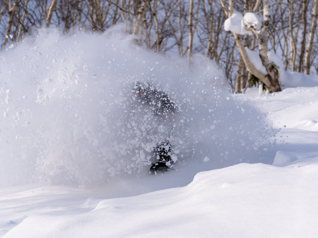 Niseko Moiwa Ski Resort景点图片
