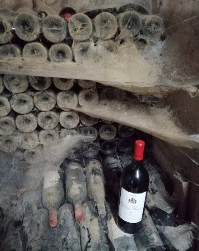 Chateau Musar-Ghazir必去景点