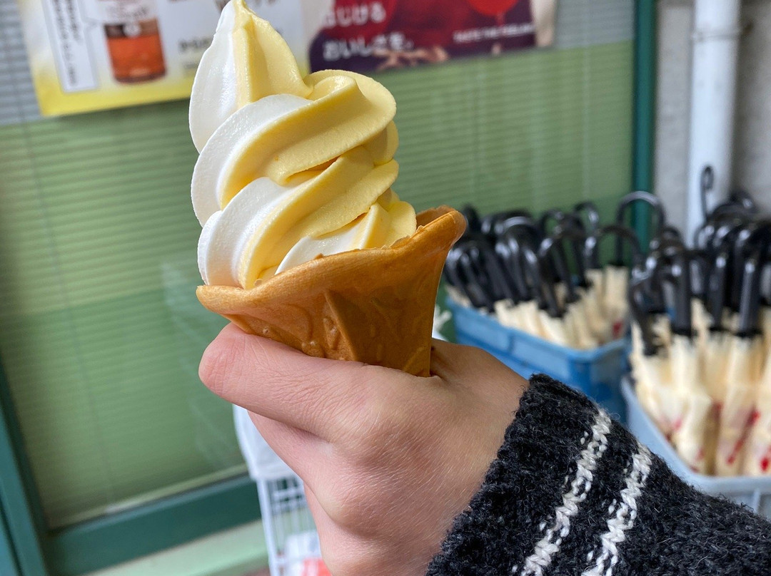 Kamago Orange Park-蒲郡港必去景点
