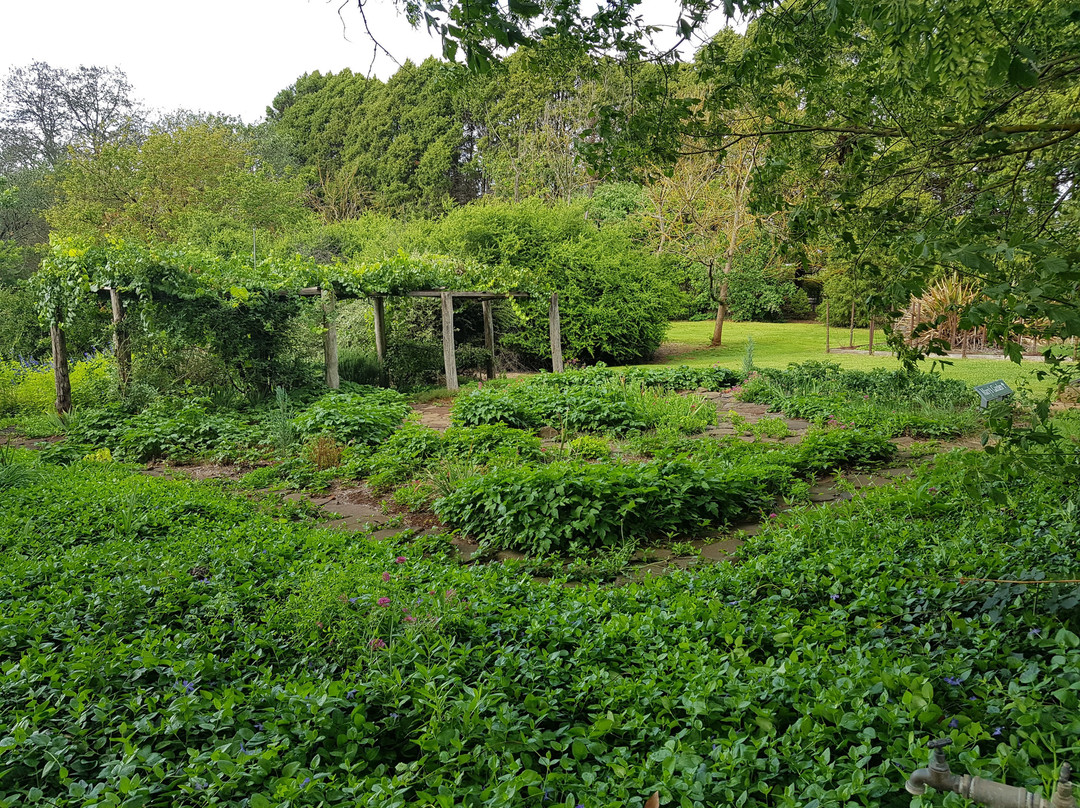 Saumarez Homestead景点图片