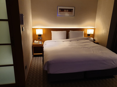 Sotetsu Hotels The Splaisir Seoul Dongdaemun主图