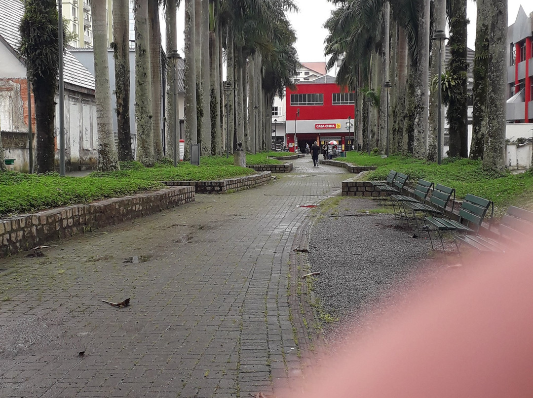Rua das Palmeiras景点图片