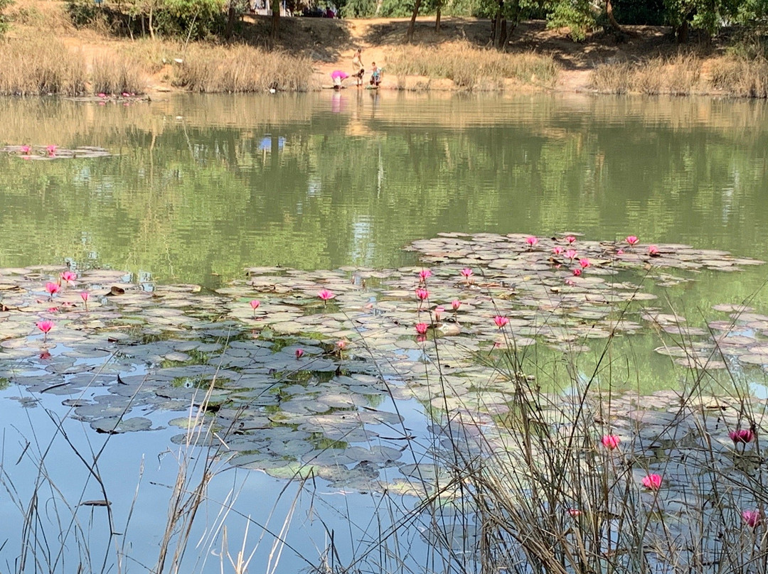 Prakriti Bhavan景点图片