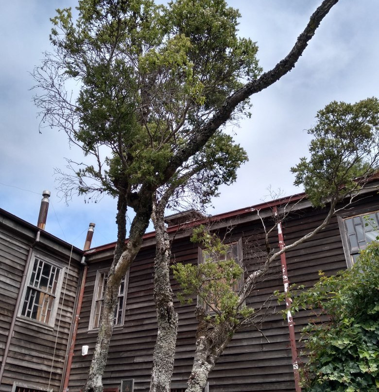 Museo de Las Iglesias de Chiloe-Ancud必去景点
